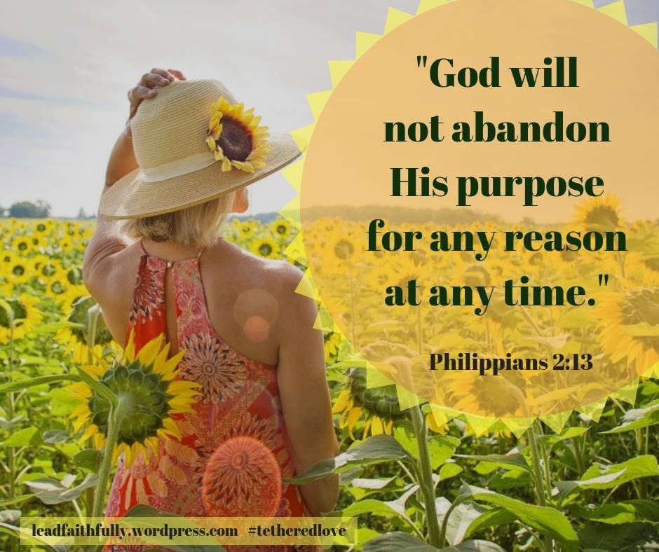 God’s ever faithful&nbsp;plans